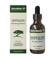 Cryptolepis Cryptolepis