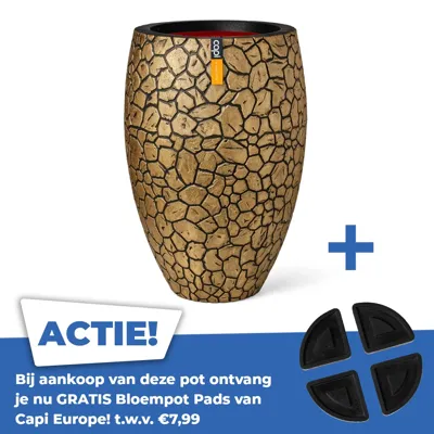 Vaas deluxe clay nl 50x72 goud zw Vaas deluxe clay nl 50x72 goud zw