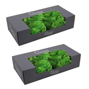 Decoratie mos - groen - naturel - 1000 gram - Finlands moss - hobby materiaal