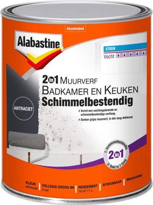 Muurverf Bad En Keuken 2In1 Antr 1L - Alabastine