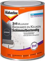 Muurverf Bad En Keuken 2In1 Antr 1L - Alabastine Muurverf Bad En Keuken 2In1 Antr 1L - Alabastine
