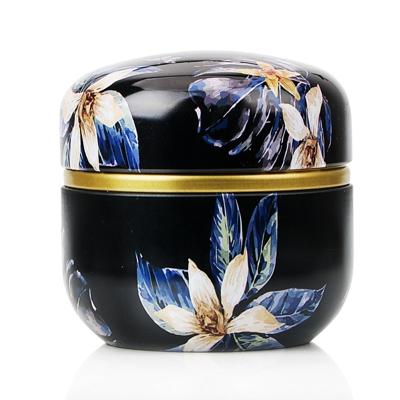 HOOMIN Tea Box thee jar opslaghouder thee Caddies Matcha container mini koffie poeder organisator blikken multifunctionele ronde metalen kleur: Mosha