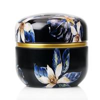 HOOMIN Tea Box thee jar opslaghouder thee Caddies Matcha container mini koffie poeder organisator blikken multifunctionele ronde metalen kleur: Mosha
