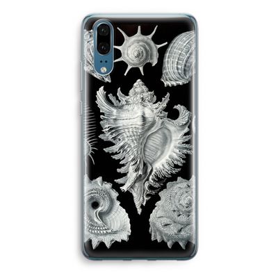 Haeckel Prosobranchia: Huawei P20 Transparant Hoesje