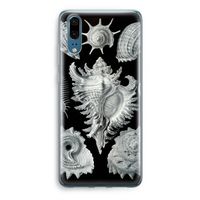 Haeckel Prosobranchia: Huawei P20 Transparant Hoesje