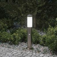 VidaXL Bolderverlichting met sensor 50 cm rvs ip44