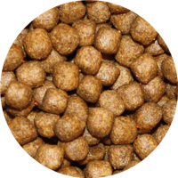 Pond Pro Super Grow Koi Voer - 6mm Eiwitrijke Korrels voor Groei & Helder Water, 5 kg