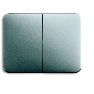 Busch-Jaeger 2CKA001751A2838 Serietoets Afdekking Titaan 1 stuk(s)