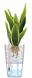 LECHUZA MAXI-CUBI Plantenpot Vrijstaand Acrylonitrielbutadieenstyreen (ABS) Wit Binnen