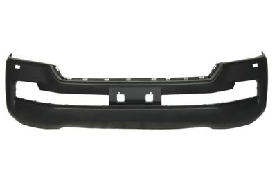 Bumper 5510008145901P