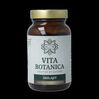 Shilajit 90 Capsules