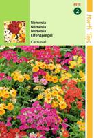 Nemesia Strumosa Carnaval Gem. - Hortitops
