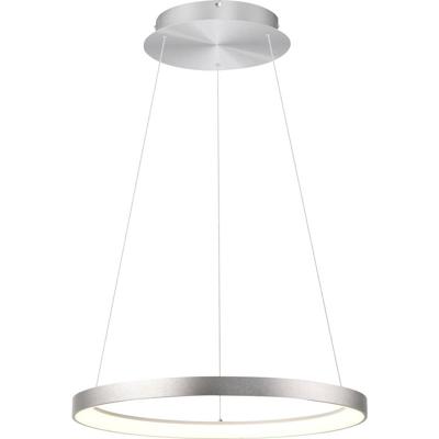 Paul Neuhaus HOOP 2851-95 LED-hanglamp LED LED vast ingebouwd 37 W Aluminium