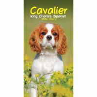 Cavalier King Charles Spaniel Slim Agenda 2026