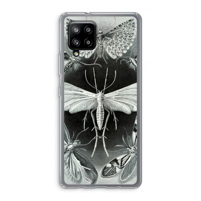 Haeckel Tineida: Samsung Galaxy A42 5G Transparant Hoesje