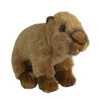 Nature Planet Knuffeldier Capybara - pluche stof - premium knuffels - bruin - 18 cm   -