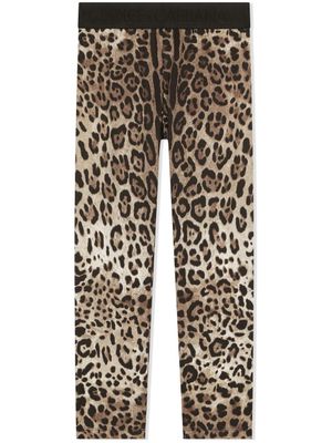 Dolce & Gabbana Kids legging Interlock à imprimé léopard - Marron
