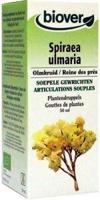 Biover Spiraea ulmaria bio