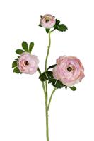 Ranonkel x3 l70cm lt roze kunstbloem Louis Maes - Louis maes