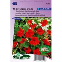 Rode lage enkele Oost-Indische kers bloemzaden – Oost-Indische kers Empress of India - thumbnail