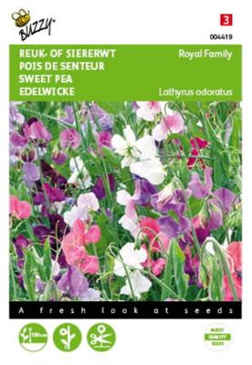 Lathyrus odoratus Royal Family Gem. - Buzzy