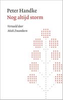 Nog altijd storm - Peter Handke - ebook