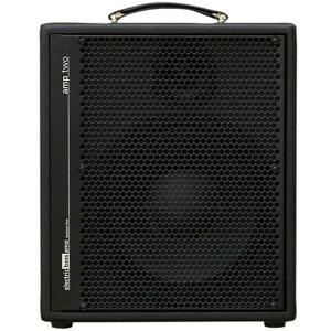 AER Amp Two basgitaarversterker combo, 240 watt