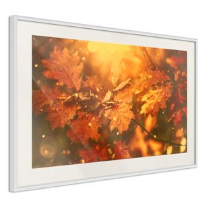 Ingelijste Poster - Gouden Bladeren, Herfst, Witte lijst met passe-partout