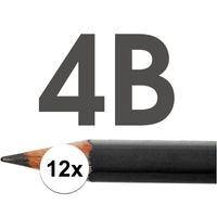 12x 4B potloden voor professioneel gebruik   -