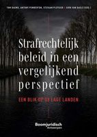 Strafrechtelijk beleid in een vergelijkend perspectie - thumbnail