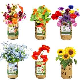 Bloemen Kweektuintje in