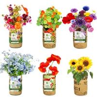 Bloemen Kweektuintje in