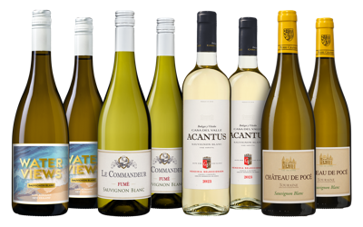 Sauvignon Blanc Wijnpakket