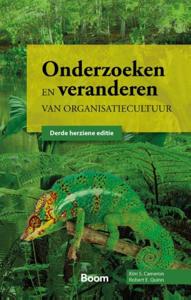 Onderzoeken en veranderen van organisatiecultuur (Paperback)