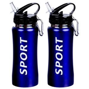 2x Sport Bidon drinkfles/waterfles Sport print blauw 420 Ml