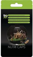 Nutri caps 10x BioArt - Bioart Nutri caps 10x BioArt - Bioart