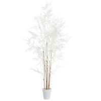Ornament in pot Bamboo naturel+creme L