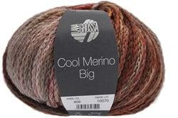 Lana Grossa Cool Merino Big Color 406 Nougat/Beige/Taupe/Cognac/Palissander/Zilvergrijs/Grijsbruin/Oudroze