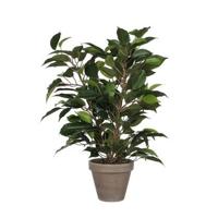 Mica Decorations Ficus Natasja Kunstplant in Bloempot H40 cm