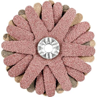 PFERD TOOLS 42732066 Schuursterren Diameter 50 mm 10 stuk(s)