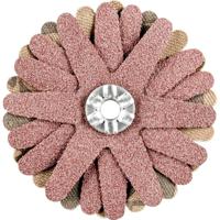 PFERD TOOLS 42732066 Schuursterren Diameter 50 mm 10 stuk(s)