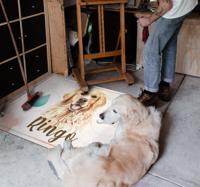 Vinyl vloerkleed golden retriever water en voer