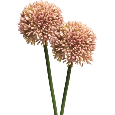 Allium/Sierui Globemaster kunstbloem - 2x - stelen - zalmroze - 44 cm - Natuurlijke uitstraling