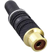 TRU COMPONENTS 1582638 Cinch-connector Koppeling, recht Aantal polen: 2 Mono Wit 1 stuk(s)