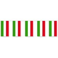 Papieren vlaggenlijn Hongarije landen decoratie 4 meter   -