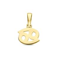 14k Geelgouden Hanger Sterrenbeeld Kreeft - Per Stuk