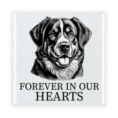 Herdenkings cadeau tegel - hondenliefhebber - Benner Senner hond - zwart/wit - keramiek - 15 x 15 cm