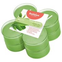 Bolsius maxilichten true scents green tea 8 stuks 8 uur