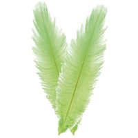 Struisvogelveer/sierveer - 2x - lime groen - 55-60 cm - decoratie/hobbymateriaal