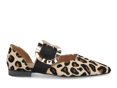 Babouche G-Izzy-59 leopardo black multi bruin maat 41